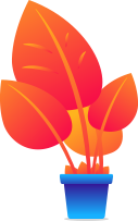 Web designing